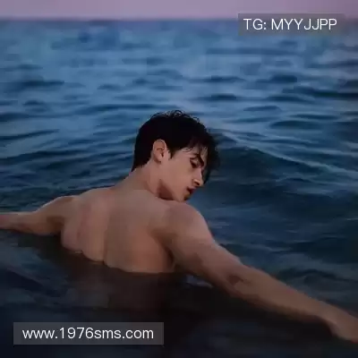 申宸禹